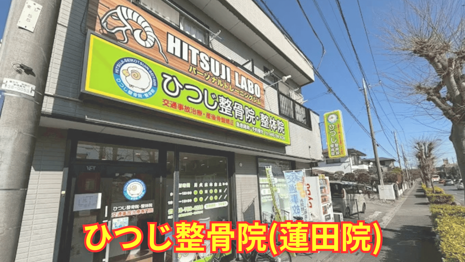 ひつじ整骨院 蓮田院